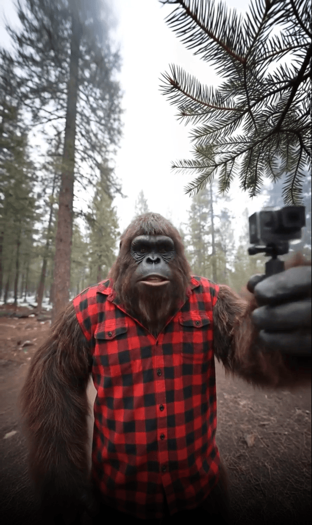 AI Vlog